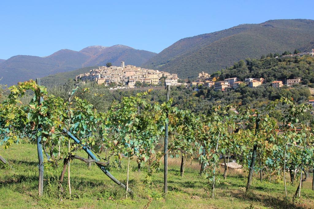B&B Colle Perrini Country House Casperia Экстерьер фото